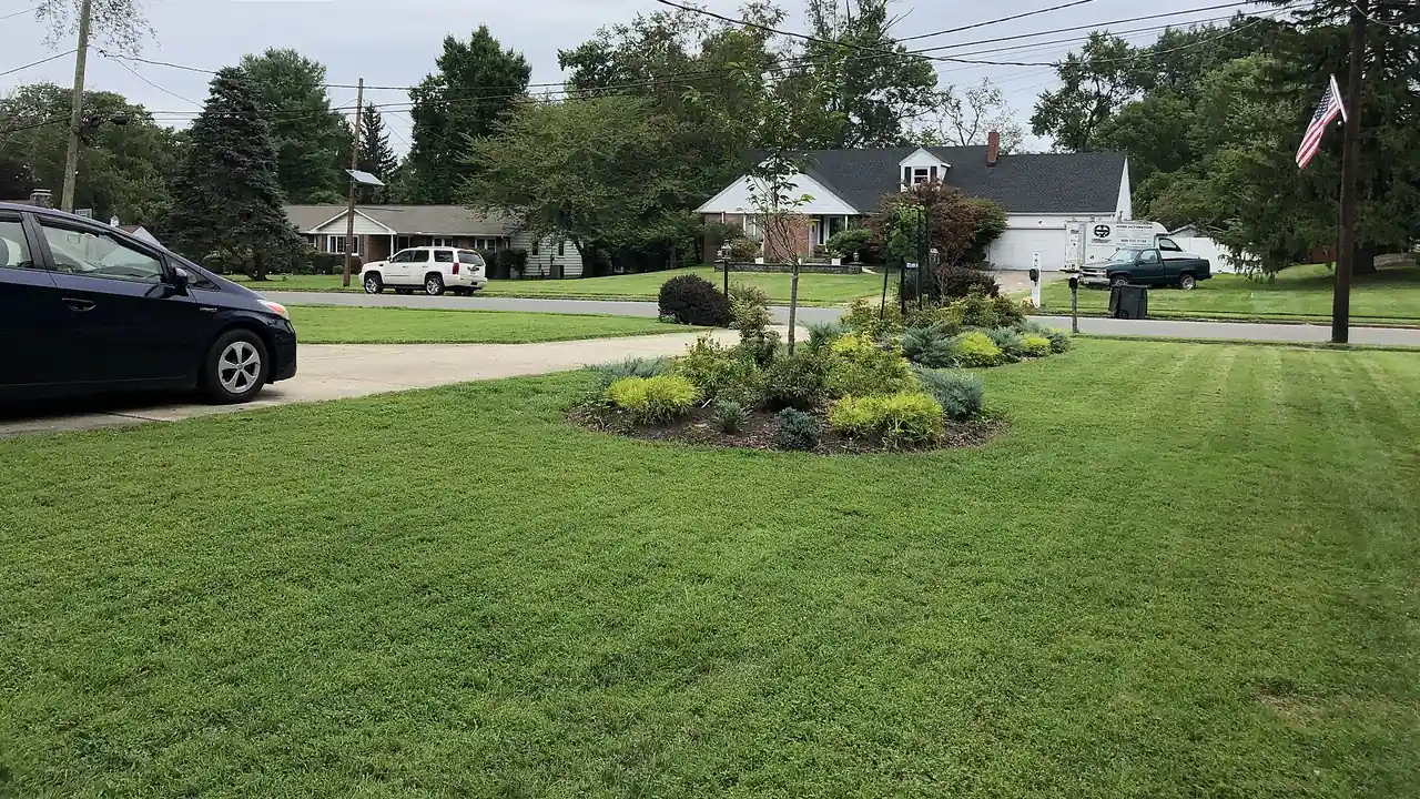 A freshly mowed front lawn with light and dark mowing bands, in front of a suburban street (illustrative stock photo)