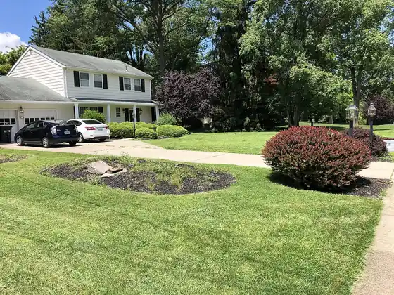 After: a freshly mowed front lawn with neat light and dark bands beside a house and driveway (illustrative stock photo)