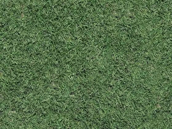 After: close view of thick, deep green, evenly cut turf (illustrative stock photo)